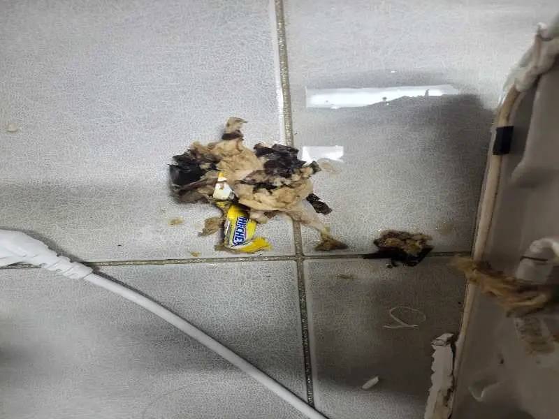 관악구 배관 이물질 제거 사례 4